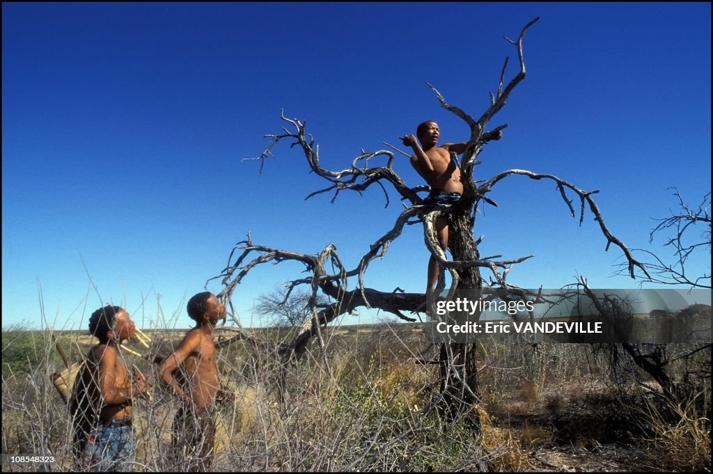 The Bushman of the third Millennium from the stone age to cyberspace in Botswana in September, 2001.