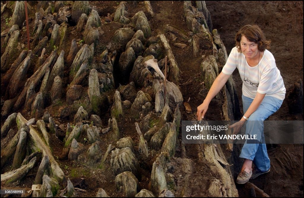 A "Venice of 3500 years" has been discovered in Poggiomarino, near Naples in Poggiomarino, Italy in July, 2002.