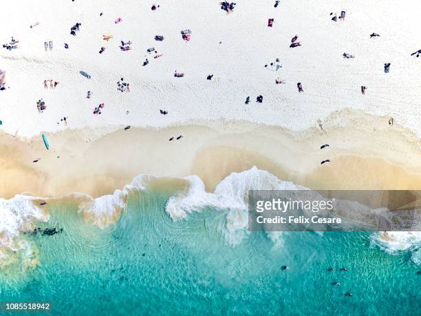 an aerial beach shot of people sitting on the beach - australian summer imagens e fotografias de stock