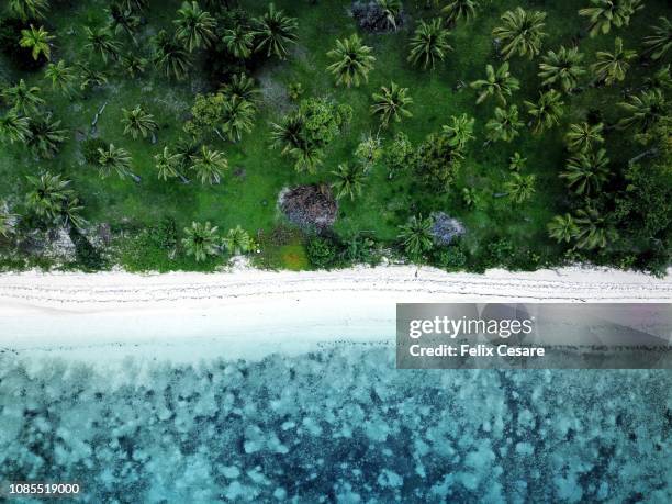 an aerial beach shot of a tropical beach in fiji islands - fiji stock-fotos und bilder