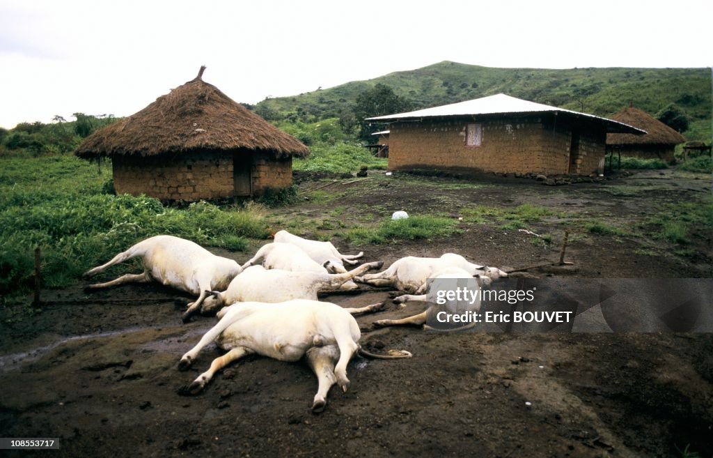 Desolation around lake Nyos in Cameroon in August , 1986.