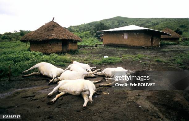 Desolation around lake Nyos in Cameroon on August 01st, 1986.