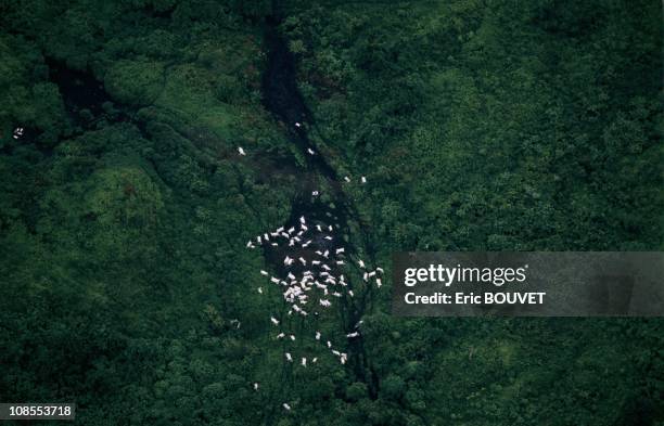 Desolation around lake Nyos in Cameroon on August 01st, 1986.