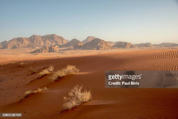 wadi rum desert in jordan - western sahara stock-fotos und bilder