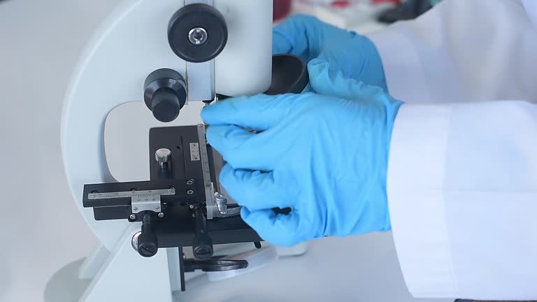 Microscope Inset 34 Inventor Of Microscope Stock Videos, Footage, & 4K Video Clips ...