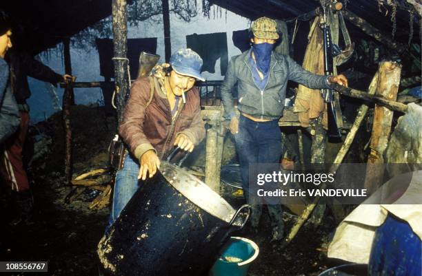 Group of guerrillas of the M19 in Colombia in February , 1988.