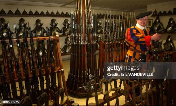 Swiss Guard Rifles 890 Pontifical Swiss Guards Stock Photos, High-Res Pictures, and Images ...