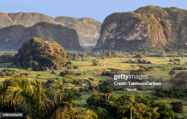 vinales / cuba - vinales cuba stock pictures, royalty-free photos & images