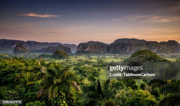 valle de viñales  / cuba - greater antilles imagens e fotografias de stock