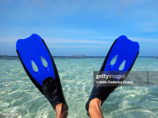 woman's feet in swim fins in maldivian lagoon - standing water stock pictures, royalty-free photos & images