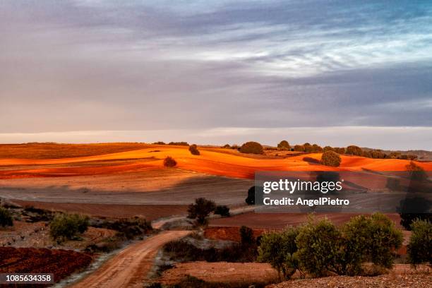 paisaje de invierno al amanecer - castilla la mancha stock-fotos und bilder