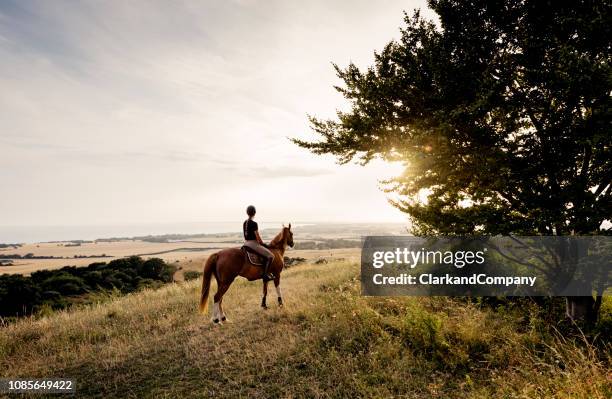 horse and rider admiring the view over møn in denmark. - all horse riding stock pictures, royalty-free photos & images