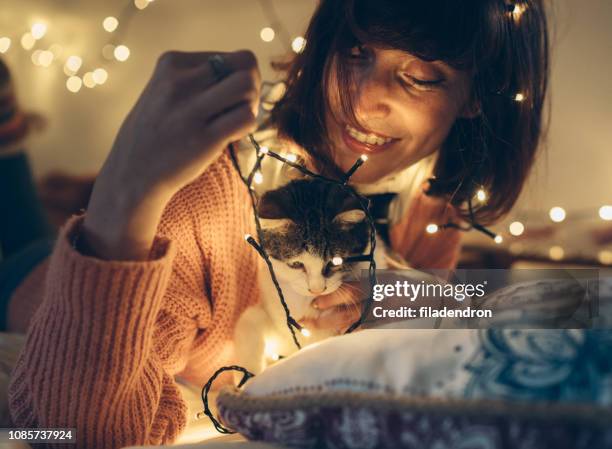 woman, cat and christmas lights - cat hipster no stock pictures, royalty-free photos & images