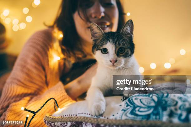 woman, cat and christmas lights - cat hipster no stock pictures, royalty-free photos & images