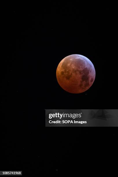 The first lunar eclipse of the year took place. This phenomenon has the name of Super Red Moon or Wolf Blood Moon. Portugal watched the year's only...