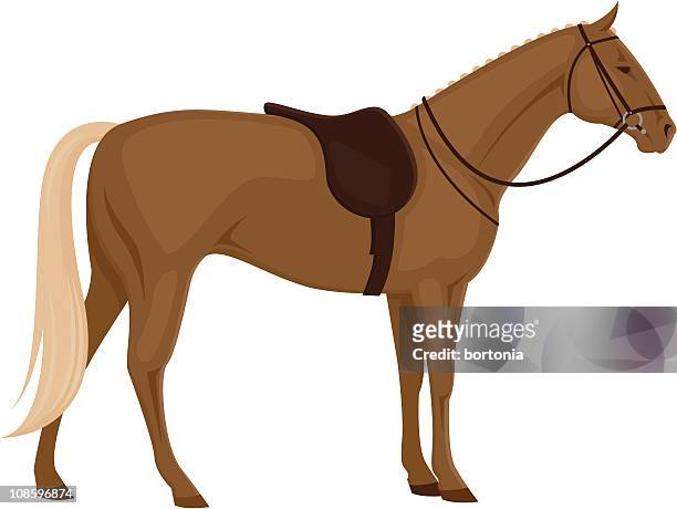 illustrazioni stock, clip art, cartoni animati e icone di tendenza di cavallo con sella - cavallo equino