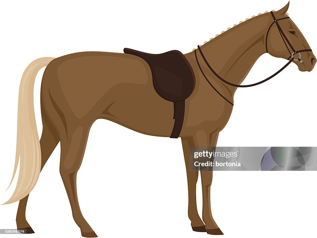 Horse with Saddle