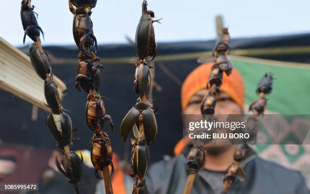 Roasted Insecte 11 Indian Stick Insect Stock Photos, High-Res Pictures, and Images ...