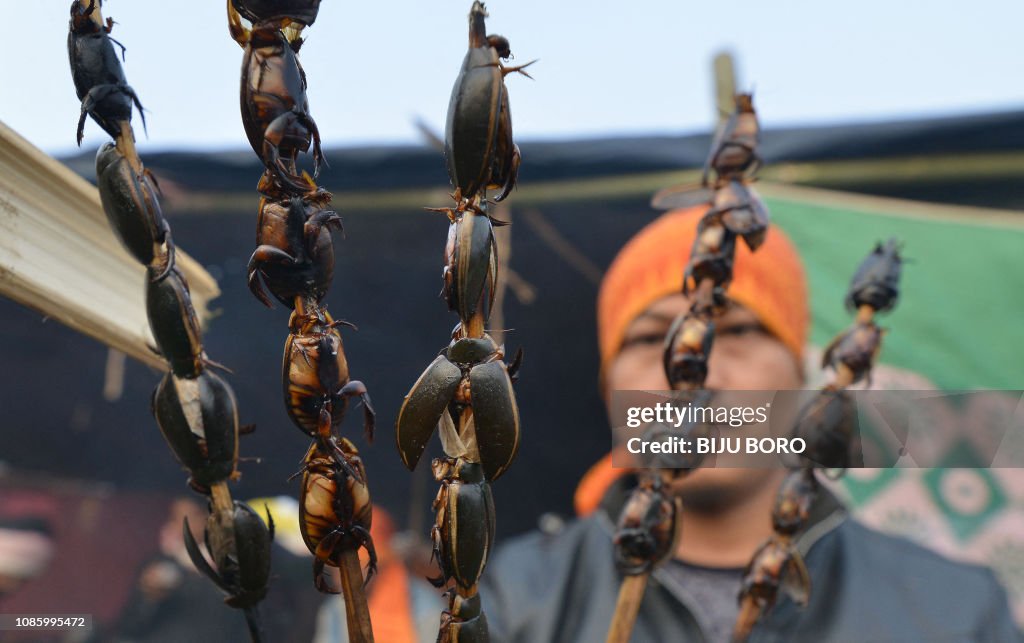 Rust Insect India In this photo taken on January 18, 2019 an Indian villager holds ...