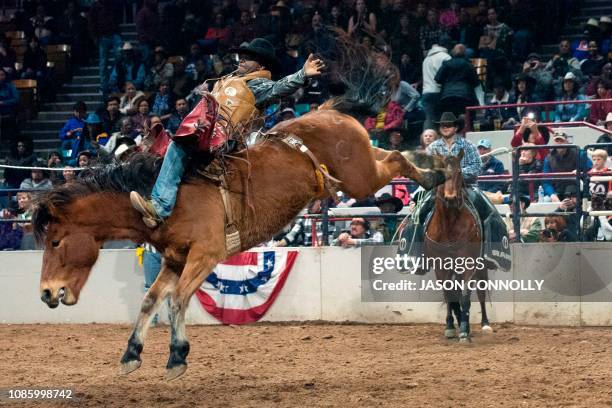 Harold Miller hangs on while competing in the bareback wrestling competition during the MLK Jr. African American Heritage Rodeo at the National...