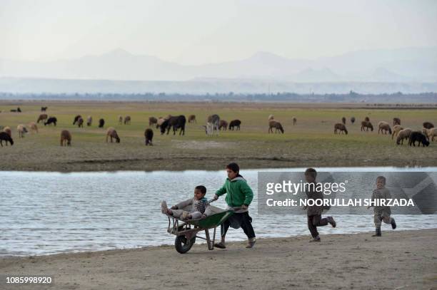 In this photograph taken on January 21 an Afghan boy pushes a wheelbarrow carrying a child as they play on the outskirts of Jalalabad.