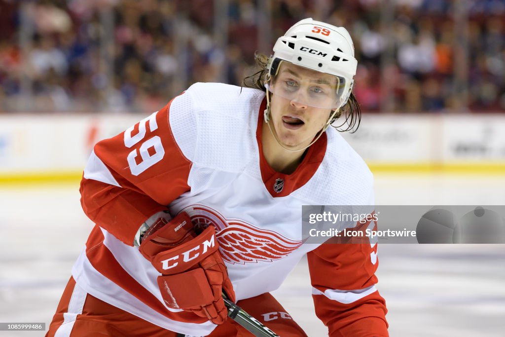 NHL: JAN 20 Red Wings at Canucks