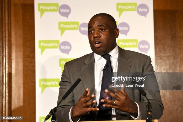 David Lammy MP for the Labour Party attends as cross party politicians examine alternative forms of Brexit at a Peoples Vote event at Royal Institute...