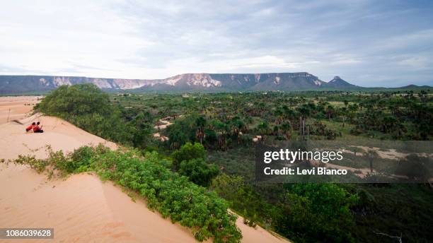 contemplação das dunas - contemplação fotografías e imágenes de stock