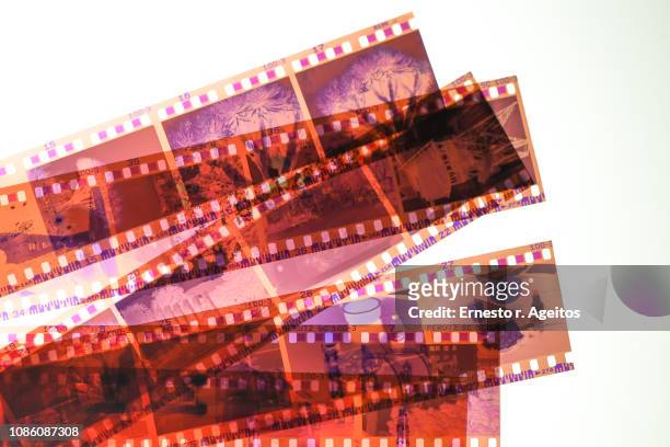 color negative 35mm film stripes stacked on a lightbox - film industry photos stock pictures, royalty-free photos & images