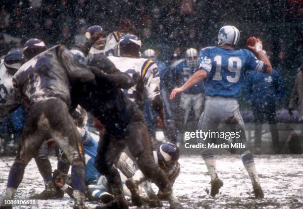 Quarterback Bill Munson of the Detroit Lions drops back to pass during an NFL game against the Minnesota Vikings on November 27, 1969 at Tiger...