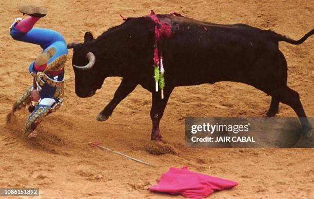 Bullfighter Injuries 331 Bull Fighting Injury Stock Photos, High-Res Pictures, and Images ...