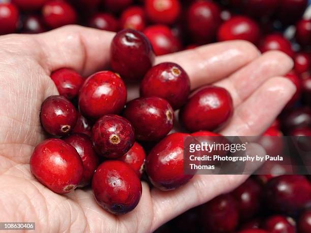 handful of cranberries - cranberry stock pictures, royalty-free photos & images