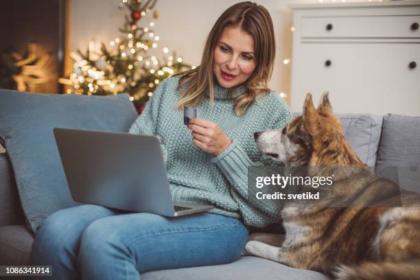 cozy christmas shopping in sofa with dog - internet dog stock pictures, royalty-free photos & images