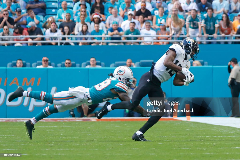 Jacksonville Jaguars v Miami Dolphins