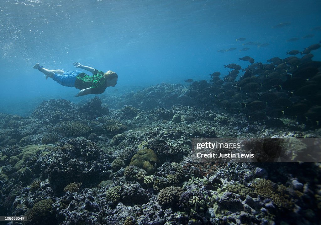 Male free diver with fish in Fiji