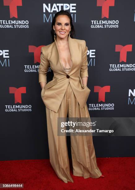 Kate del Castillo arrives at Telemundo Global Studios Celebration during NATPE Miami 2019 at the Eden Roc Hotel on January 22, 2019 in Miami Beach,...