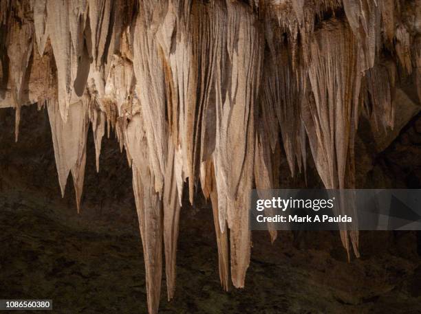 stalactite - estalactite imagens e fotografias de stock