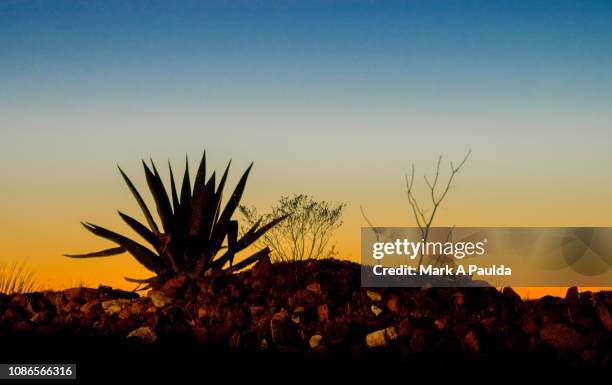 desert at dusk - el paso texas stockfoto's en -beelden