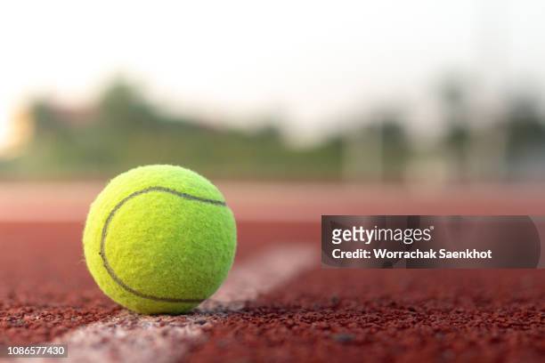 tennis ball. - tennisbal stock-fotos und bilder
