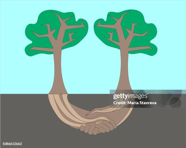 geschäft der stabilität und treue mit zwei bäume mit wurzeln - ast baum hand frühling stock-grafiken, -clipart, -cartoons und -symbole