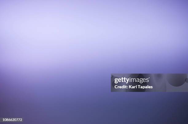 a purple colored background - paarse achtergrond stockfoto's en -beelden