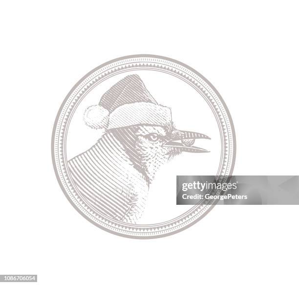 blue jay wearing santa hat - blue jay stock illustrations