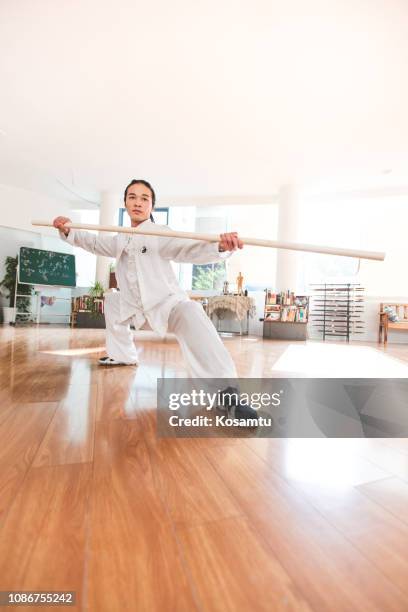 kung fu practice - fu ying stock pictures, royalty-free photos & images