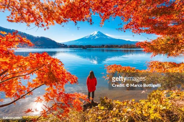 tourist admiring mt. fuji in autumn, japan - japan tourism stock pictures, royalty-free photos & images