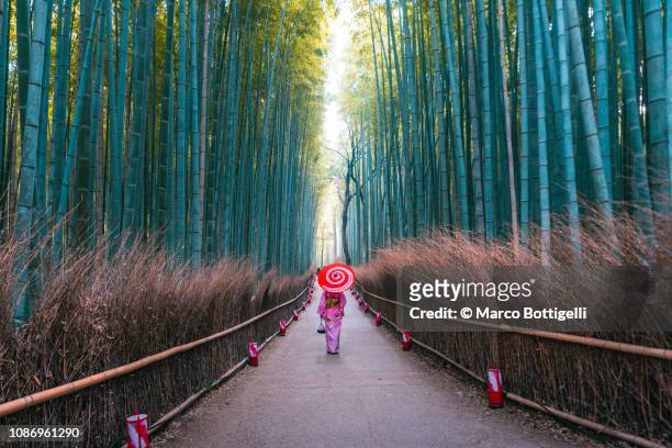 japanese woman walking in bamboo grove, arashiyama, kyoto, japan - kioto prefectuur stockfoto's en -beelden