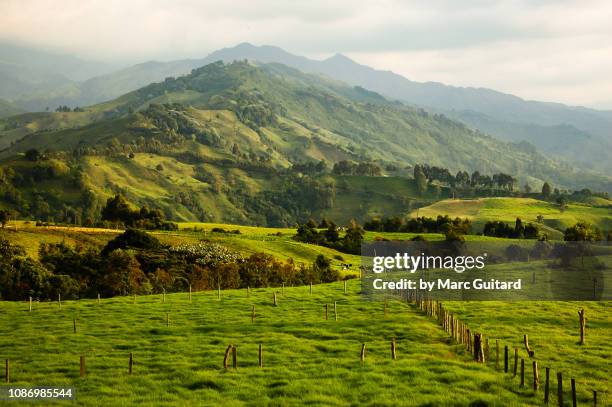 lush, green, andean landscape near the village of salento, colombia - cultura colombiana fotografías e imágenes de stock