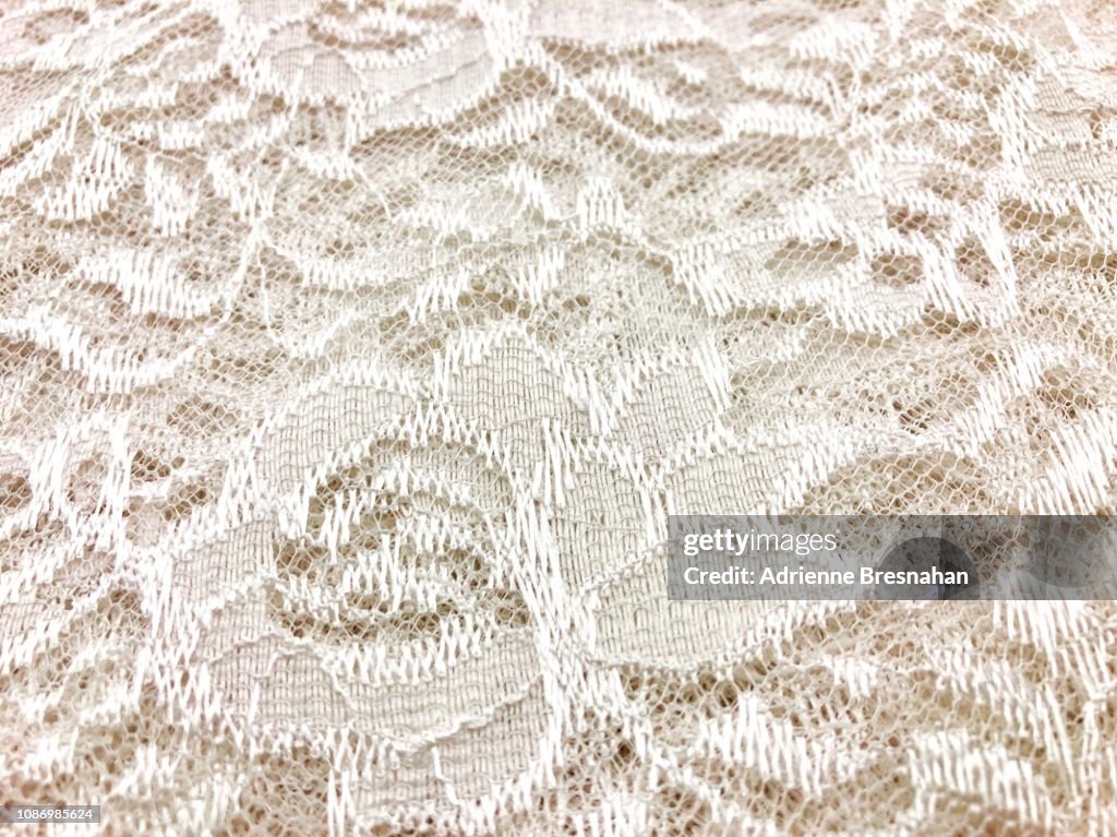 Ivory Floral Lace, Close Up