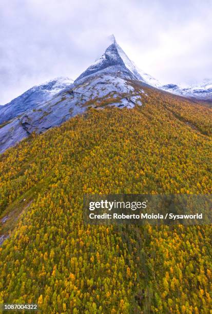 stetind mountain during autumn, norway - stetind stock pictures, royalty-free photos & images