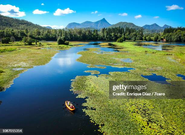 doon doon creek in crams farm reserve with a kayak - forest new south wales stock pictures, royalty-free photos & images