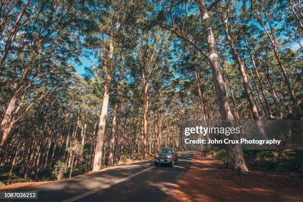 boranup road - margaret river australia photos et images de collection